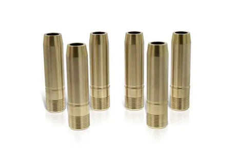 Ferrea VG1079