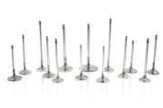 Shiny metal intake valve stem seals for Subaru EJ20 with 6mm Viton for high temp durability