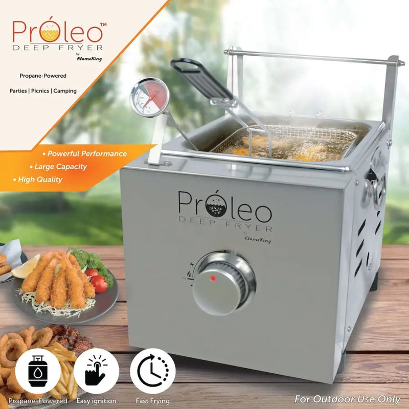 Flame King Proleo Fryer