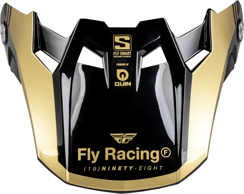 Formula S Carbon Legacy Visor Black/Gold Yl/Sm