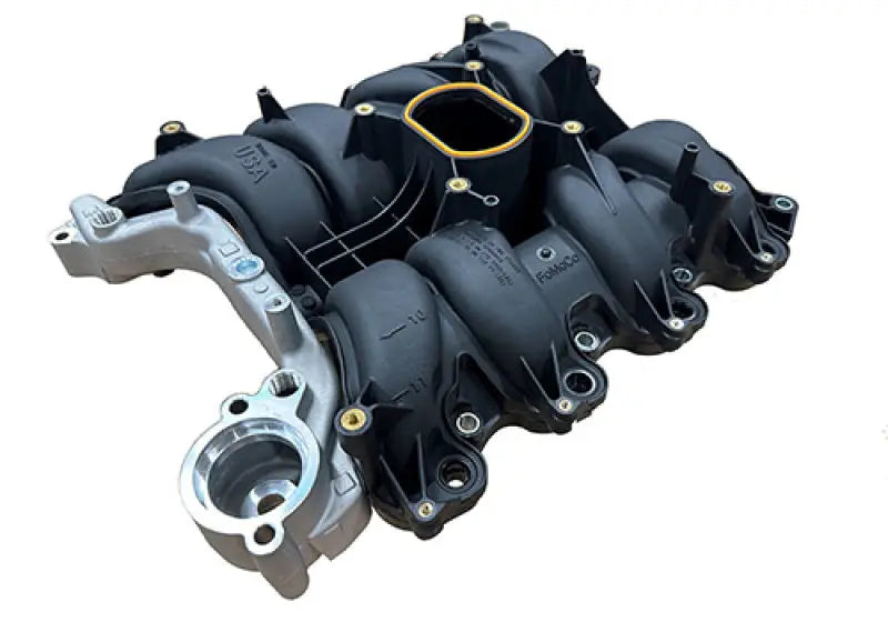 Ford Racing 01-04 Mustang GT 4.6L SOHC 2V Perf Improvement Intake Manifold (Req Gasket Set) - Engine Components