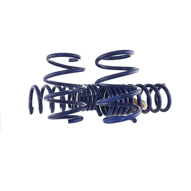 Ford Racing 15-22 Mustang Track Lowering Spring Kit - Truck & Automotive