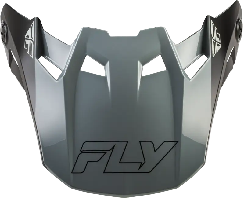 Formula Cc Glide Visor Matte Black/Grey Md/Lg - FLY RACING