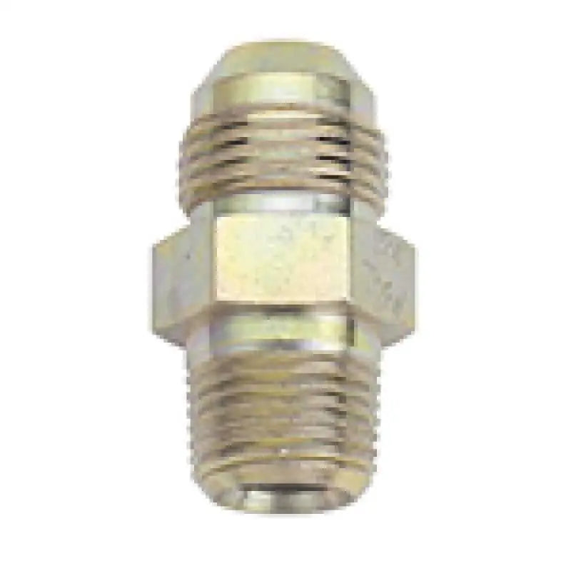 Fragola 581604