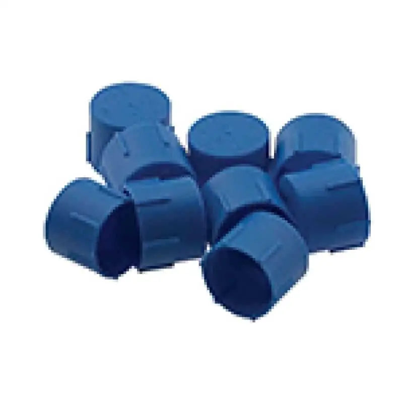 Fragola 900806