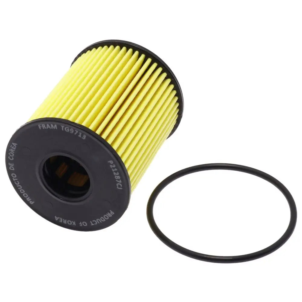 Fram FTG9713 Oil Filter