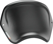 Front Plate Carbon - PUIG