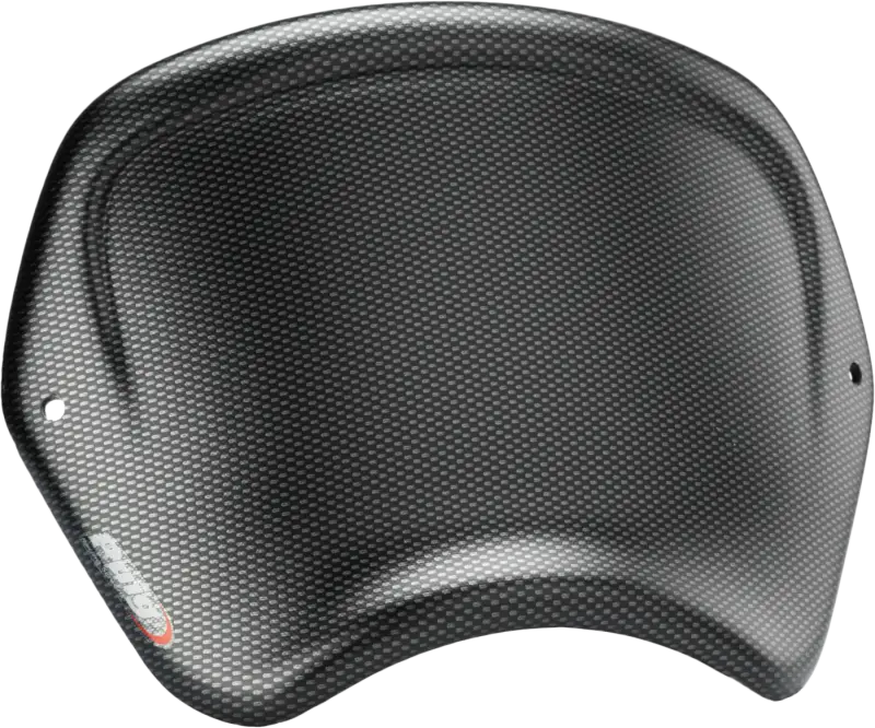 Front Plate Carbon - PUIG