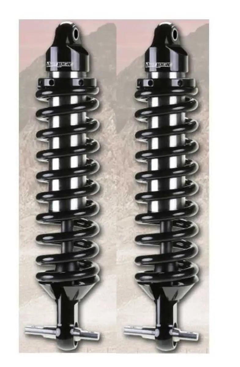 FTS22183 Coil Over Shock Absorber