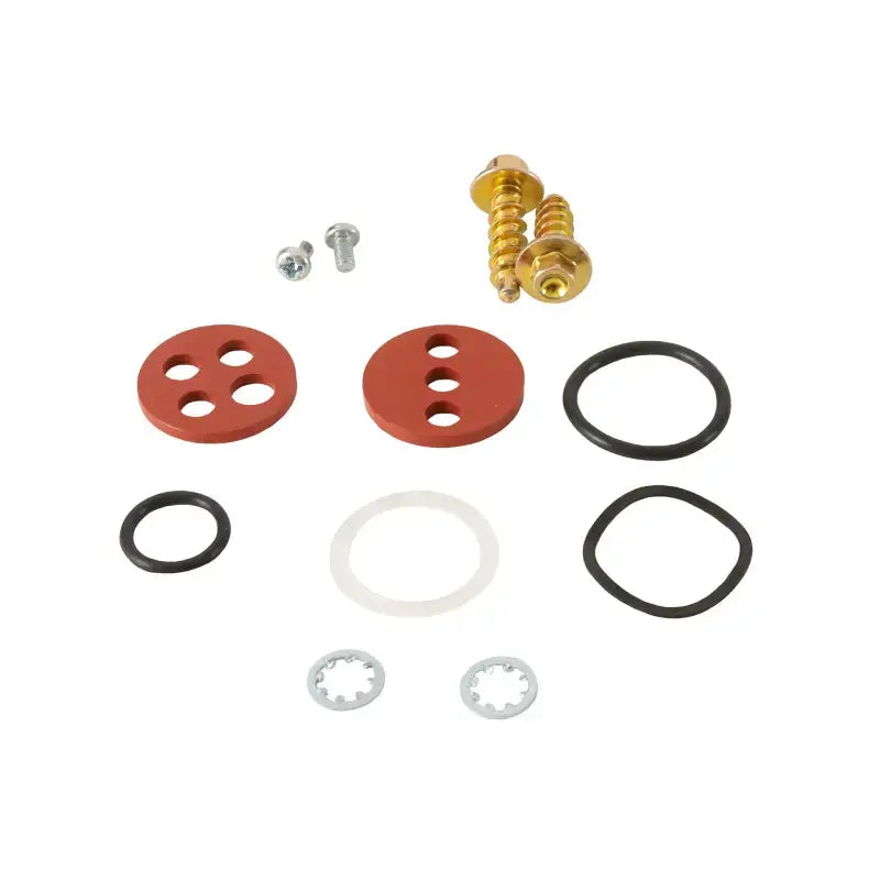 Fuel Tap Repair Kit 