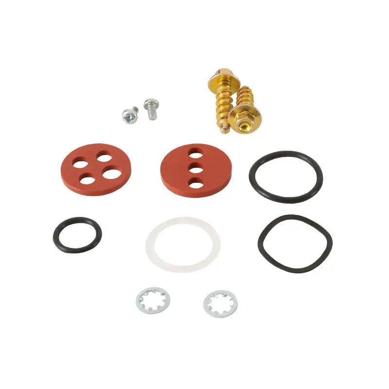 Fuel Tap Repair Kit 