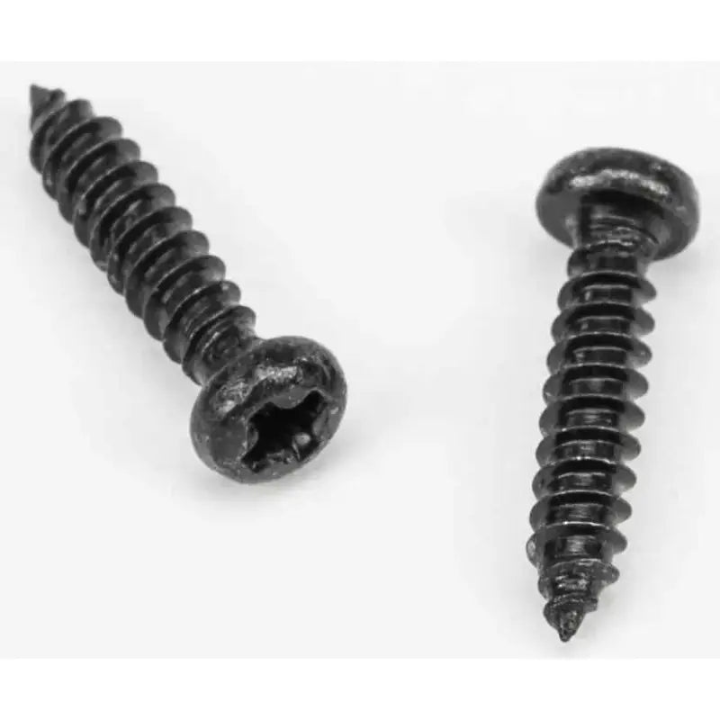 G999955 Led Lens Cover Screws 2/Pk Gm 68