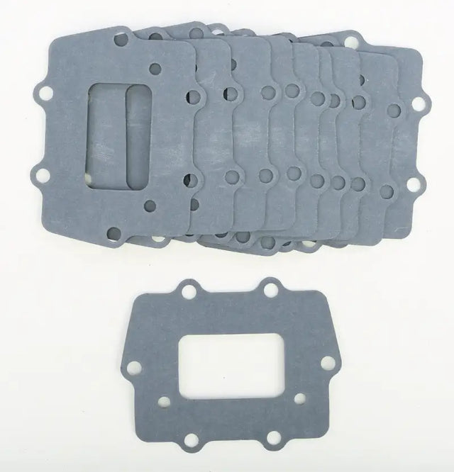 GASKET TECH. 10/Pk Reed Gasket for Powersports