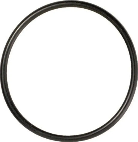 Gates 96-01 A4 (inc Quattro) / 95-04 A6 (inc Quattro) Thermostat Seal - 33613