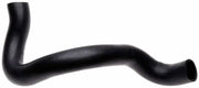 21216 Radiator Hose