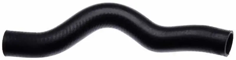 22129 Radiator Hose
