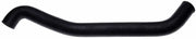 22302 Radiator Hose