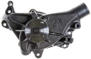 43101 Water Pump