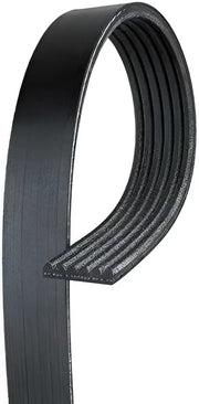 K060824 Serpentine Belt