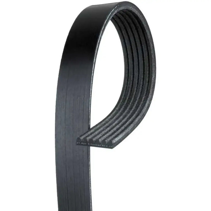 K061093 Serpentine Belt