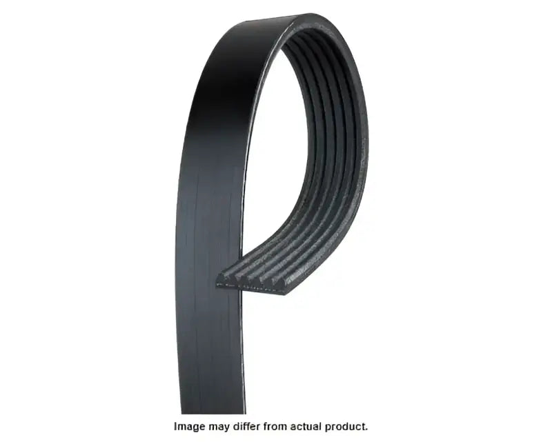 Gates Corp K081000 V-Ribbed Belt - RV and Auto Parts