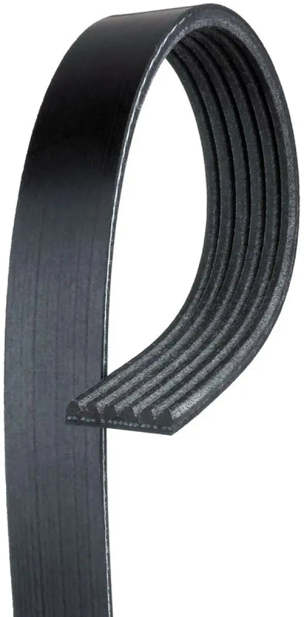 K081265 Serpentine Belt by Gates Corp