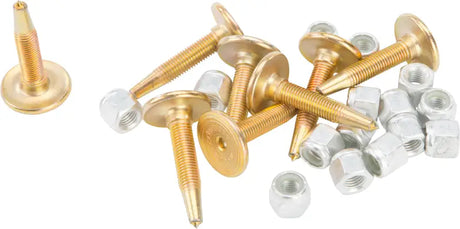 Gold digger carbide bolts with silver nuts for durable metal working tool setup