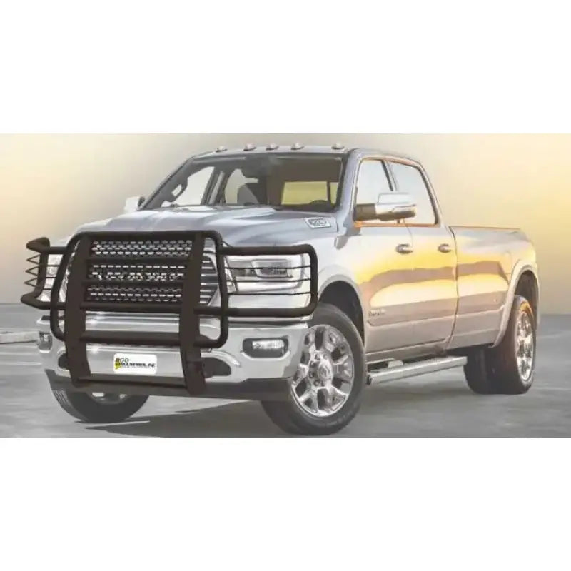 46673 Grille Guard
