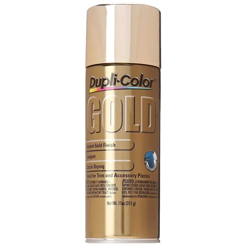 GS100 Paint