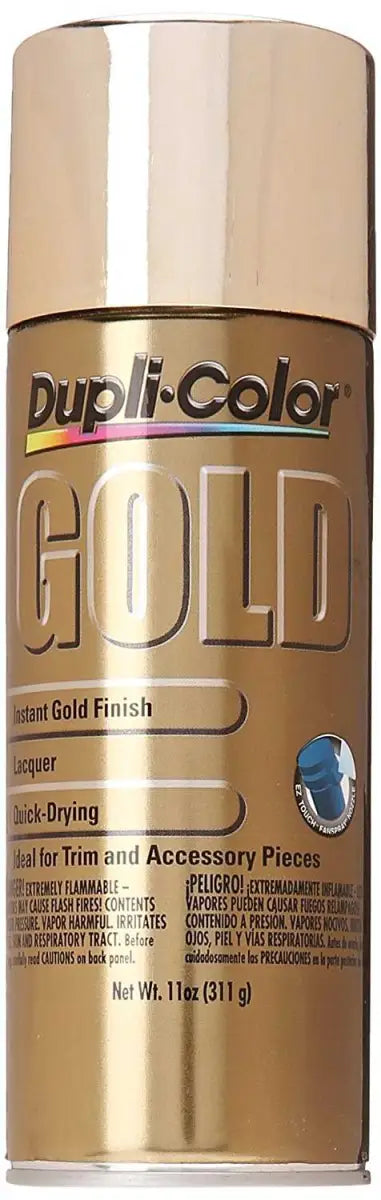 GS100 Paint