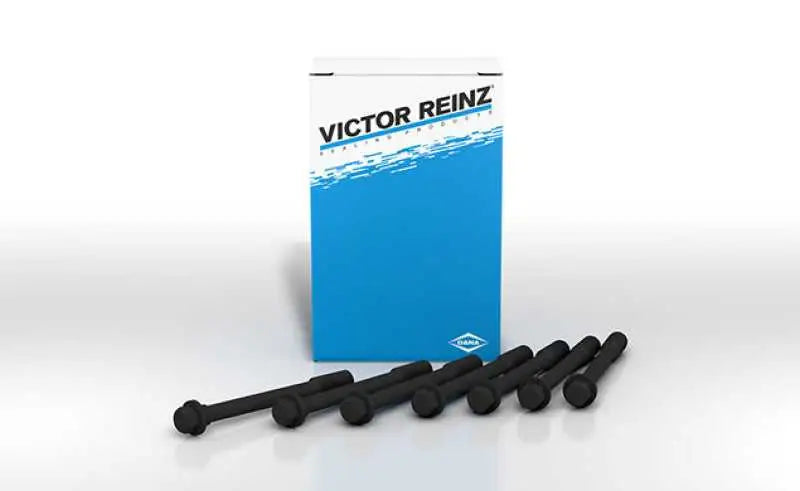 Victor Reinz GS33493 MAHLE Original Dodge Ram 2500 10-98 Cylinder Head Bolts