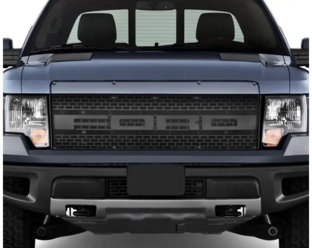 GS902-25 FIA Bug Screen 18' F-150