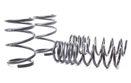 H&R 04-06 BMW 525i/530i/545i E60 Race Spring (w/o Self Leveling) - Truck & Automotive