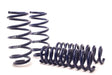 H&R 05-10 Chrysler 300 C LX Sport Spring (w/o Self-Leveling/Non AWD) - 50847