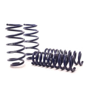 H&R 05-10 Chrysler 300 C LX Sport Spring (w/o Self-Leveling/Non AWD) - 50847