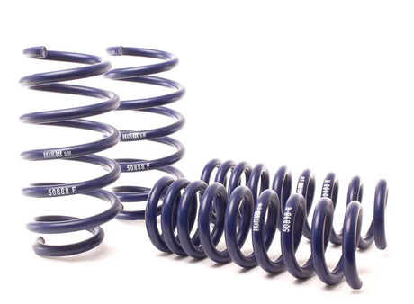 H&R 06-10 Dodge Charger RT/SE/SXT V6/V8 (2WD) Sport Spring (w/Nivomat Only) - Truck & Automotive