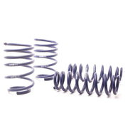 H&R 50490-88 H&R 07-11 BMW 328i Sedan/335i Sedan E90 Race Spring