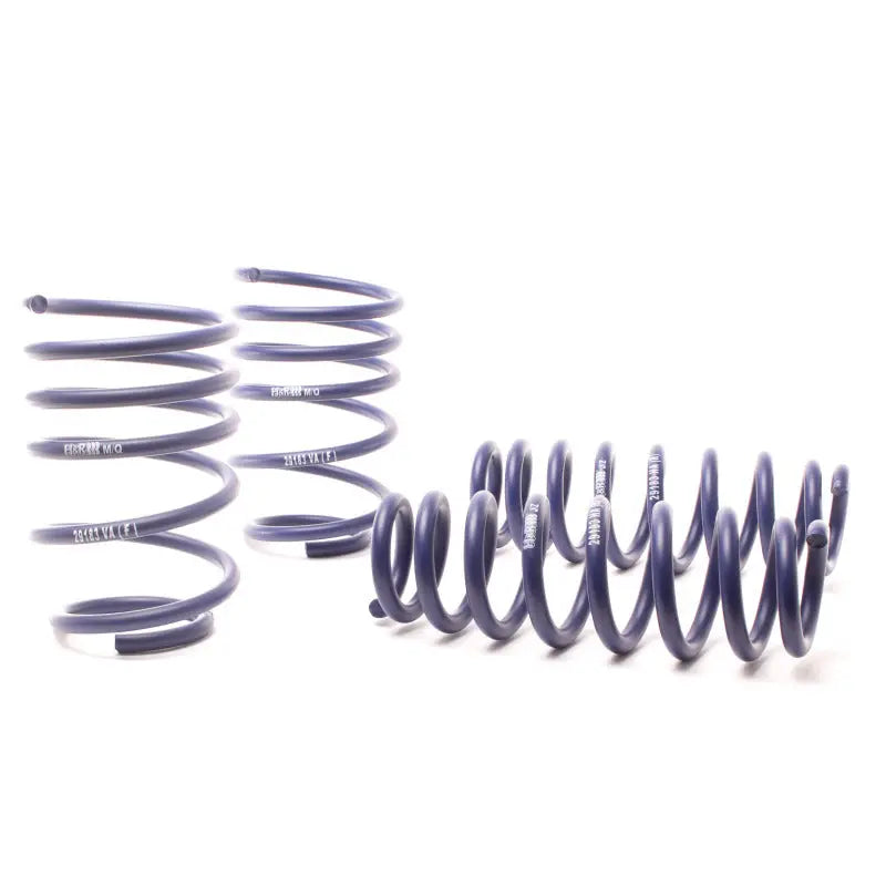 H&R 50490-88 H&R 07-11 BMW 328i Sedan/335i Sedan E90 Race Spring