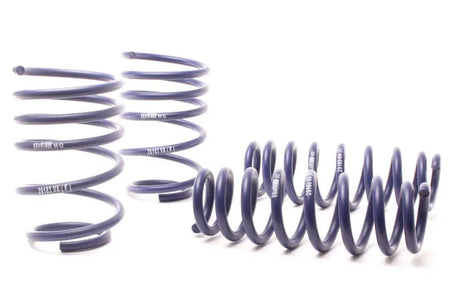 H&R 07-11 BMW 328i Sedan/335i Sedan E90 Race Spring - Truck & Automotive