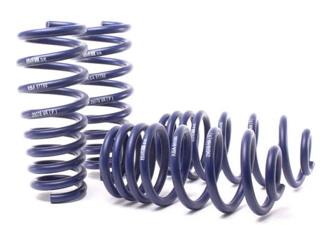 H&R 07-13 BMW X5 E70 Sport Spring (w/o Self-Leveling/Incl. Diesel) - Truck & Automotive