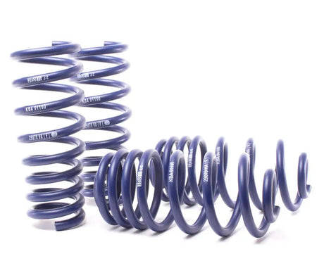 H&R 07-13 BMW X5 E70 Sport Spring (w/o Self-Leveling/Incl. Diesel) - Truck & Automotive