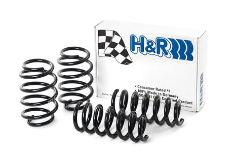 H&R 09-19 Ford Flex (2WD/AWD) Sport Spring - Truck & Automotive