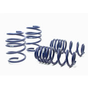 H&R 17-21 Audi RS3 8VS Sport Spring (Incl. MRC) - 50345