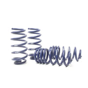 H&R 19-21 Audi Q8 Premium/Q8 Premium Plus/Q8 Prestige MLB Sport Spring (w/o Air Susp.) - 50390