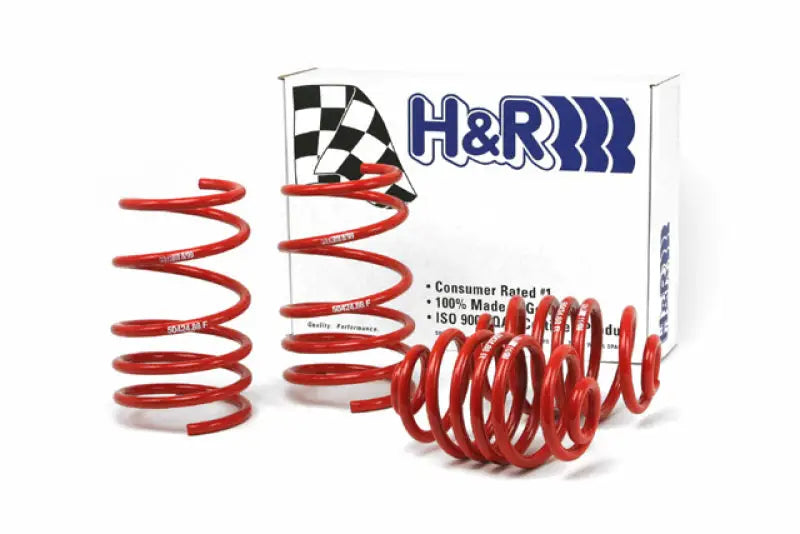 H&R 92-98 BMW 325i/325is/328i/328is E36 Race Spring (After 6/22/92 & Non Cabrio) - Truck Automotive
