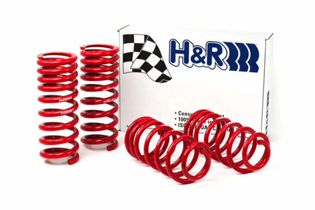 H&R 94-95 Ford Mustang/Mustang Cobra V8 Race Spring - Truck & Automotive