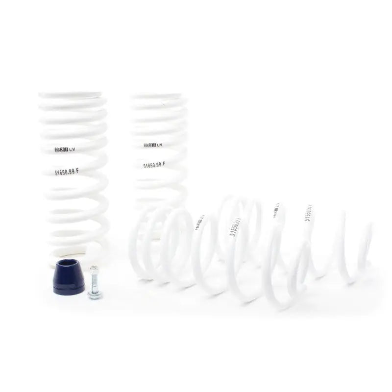 H&R 51650-99 H&R 94-95 Ford Mustang/Mustang Cobra V8 Super Race Spring