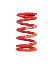 R25100100 Coil Spring