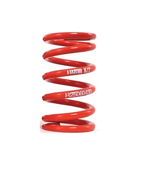 R25100100 Coil Spring