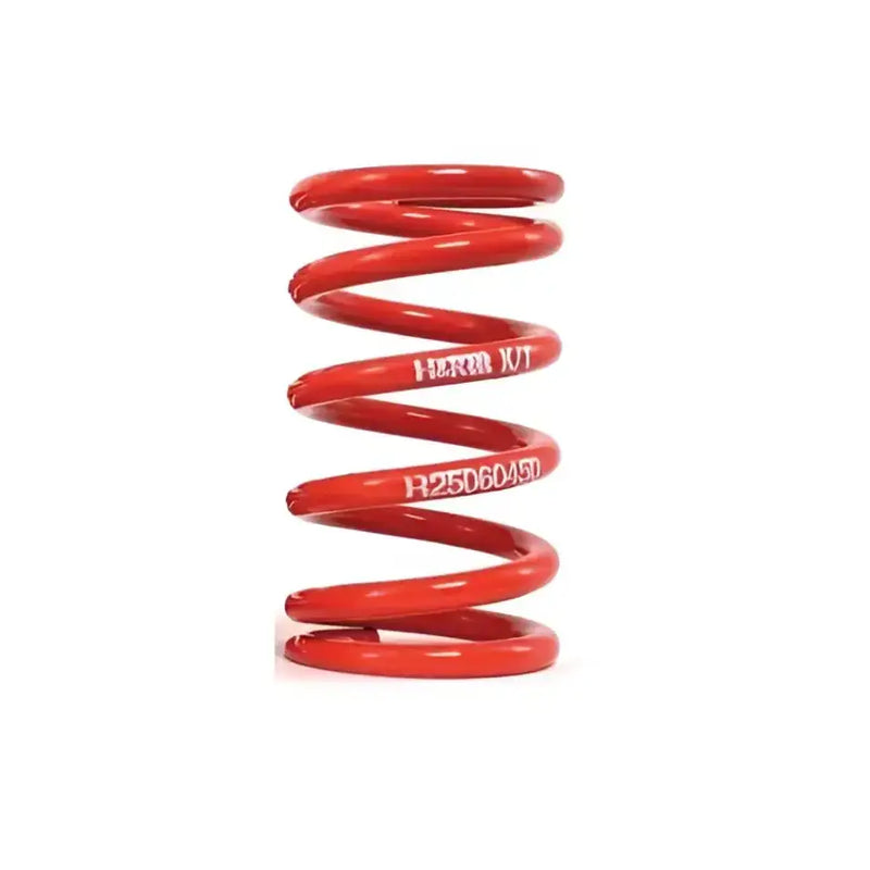 R25100100 Coil Spring